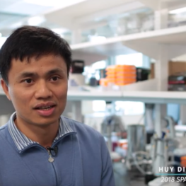 » Huy Dinh: Developing an Early Cancer Test