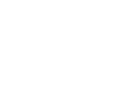 The Tullie and Rickey Families Spark Awards Program