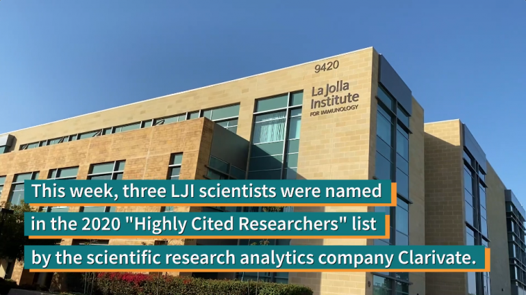 Screenshot from news video. Text on screen reads "This week, three LJI scientists were named in the 2020 "Highly Cited Researchers" list by the scientific research analytics company Clarivate