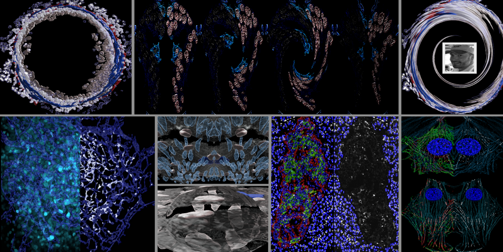 A collage of small microscopy images assembled by Bill Kiosses. Bill's headshot is shown in black and white in the top right corner