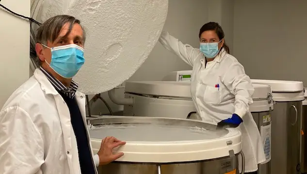 Photo of Alessandro Sette (left) and Daniela Weiskopf opening a freezer in a lab setting