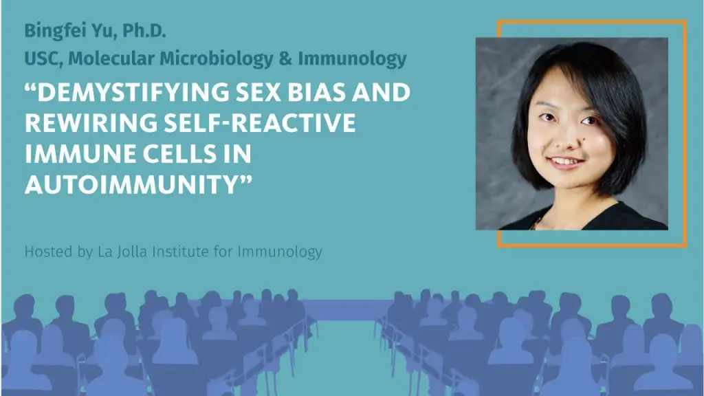 Graphic for LJI-hosted seminar titled, "Demystifying sex bias and rewiring self-reactive immune cells in autoimmunity," presented by Bingfei You, Ph.D., of USC, molecular microbiology and immunology