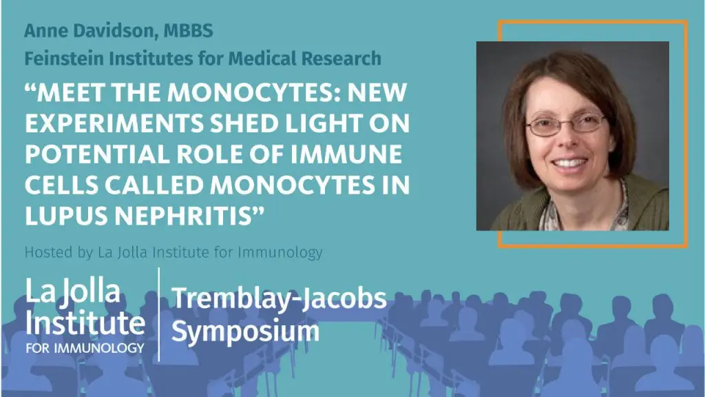 Graphic for an LJI-hosted seminar titled "Potential role of monocytes in lupus nephritis," presented by Anne Davidson, MBBS, of Feinstein Institutes for Medical Research