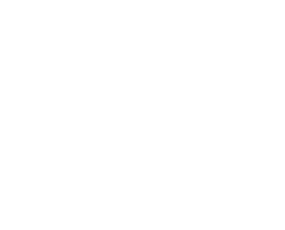 Graphic for the SPARK annual report