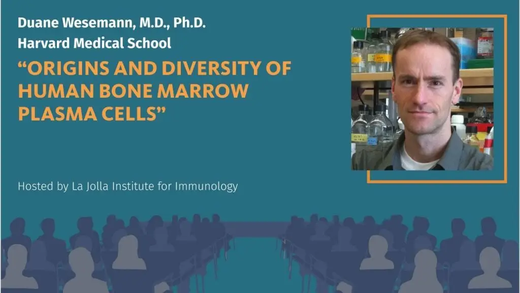 Graphic for LJI-hosted seminar titled "Origins and diversity of human bone marrow plasma cells," presented by Duane Wesemann, M.D., Ph.D., of Harvard Medical School