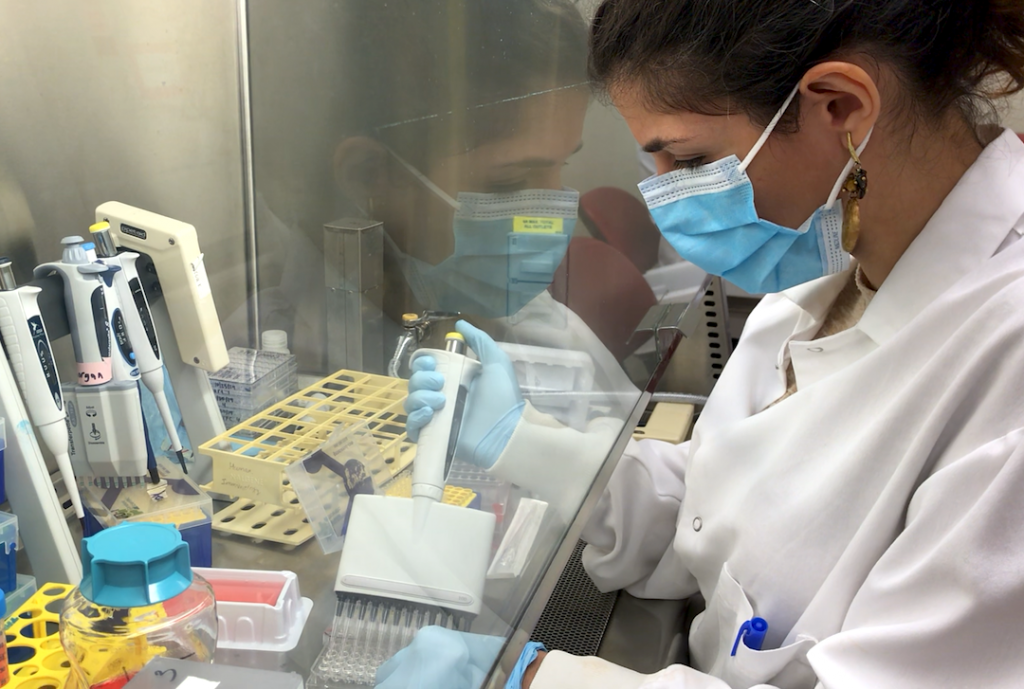 Photo of Alba Grifoni working in a hood in a lab. She is using a pipetter and wearing a mask, gloves, and a lab coat