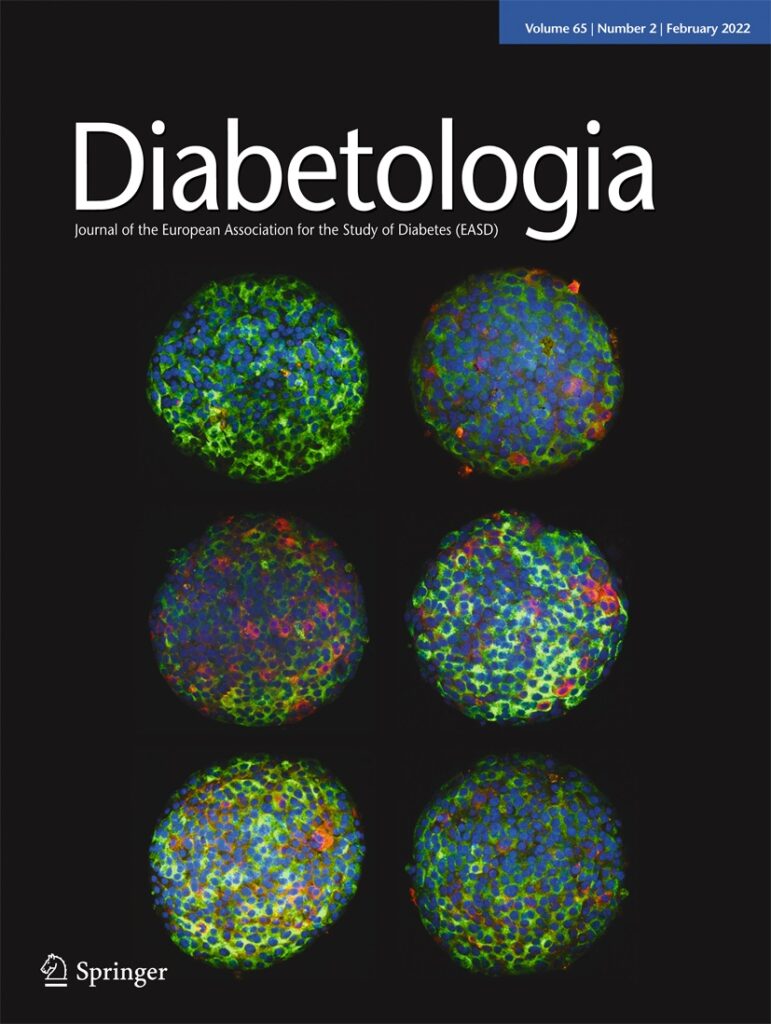 The February 2022 cover of the journal Diabetologia
