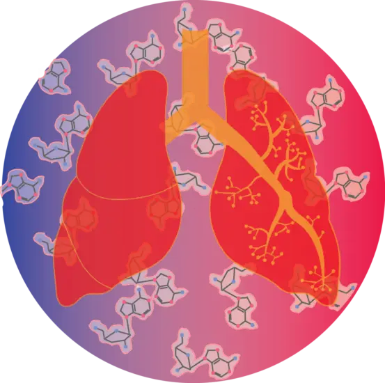 Illustration of lungs with molecular structures in the background