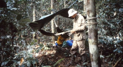 Richard Barnes setting up camp in the jungle. Tarp and rope tied to a tree