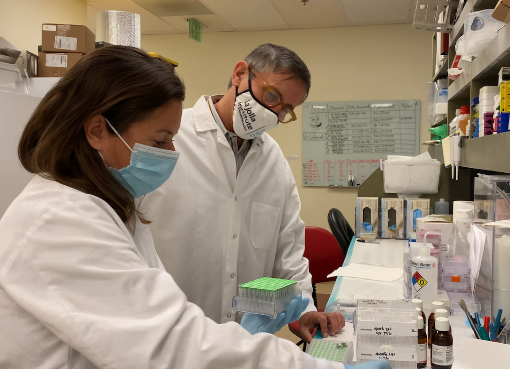 Daniela Weiskopf and Alessandro Sette in a laboratory setting. They are wearing masks and white lab coats. They are looking at equipment on a lab bench