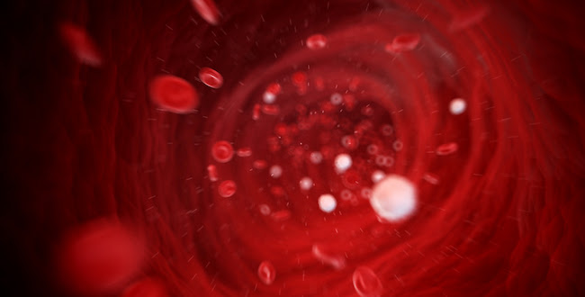 Computer-generated graphic showing red blood cells flowing through a blood vessel