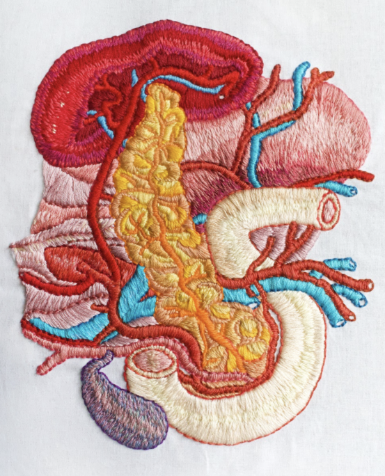 Embroidered art piece showing the pancreas and surrounding organs