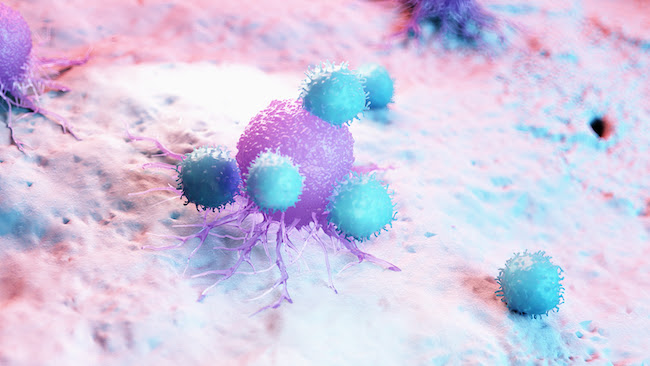 Computer-generated image showing immune cells targeting a cancer cell