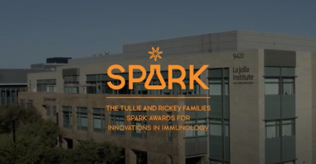 SPARK logo