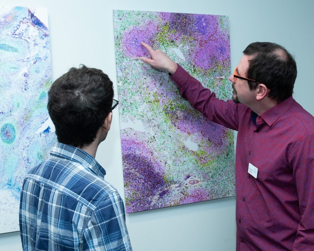 Two figures stand before a large microscopy image mounted on a wall. They are turned with their backs to the camera. The figure on the right is pointing to the image